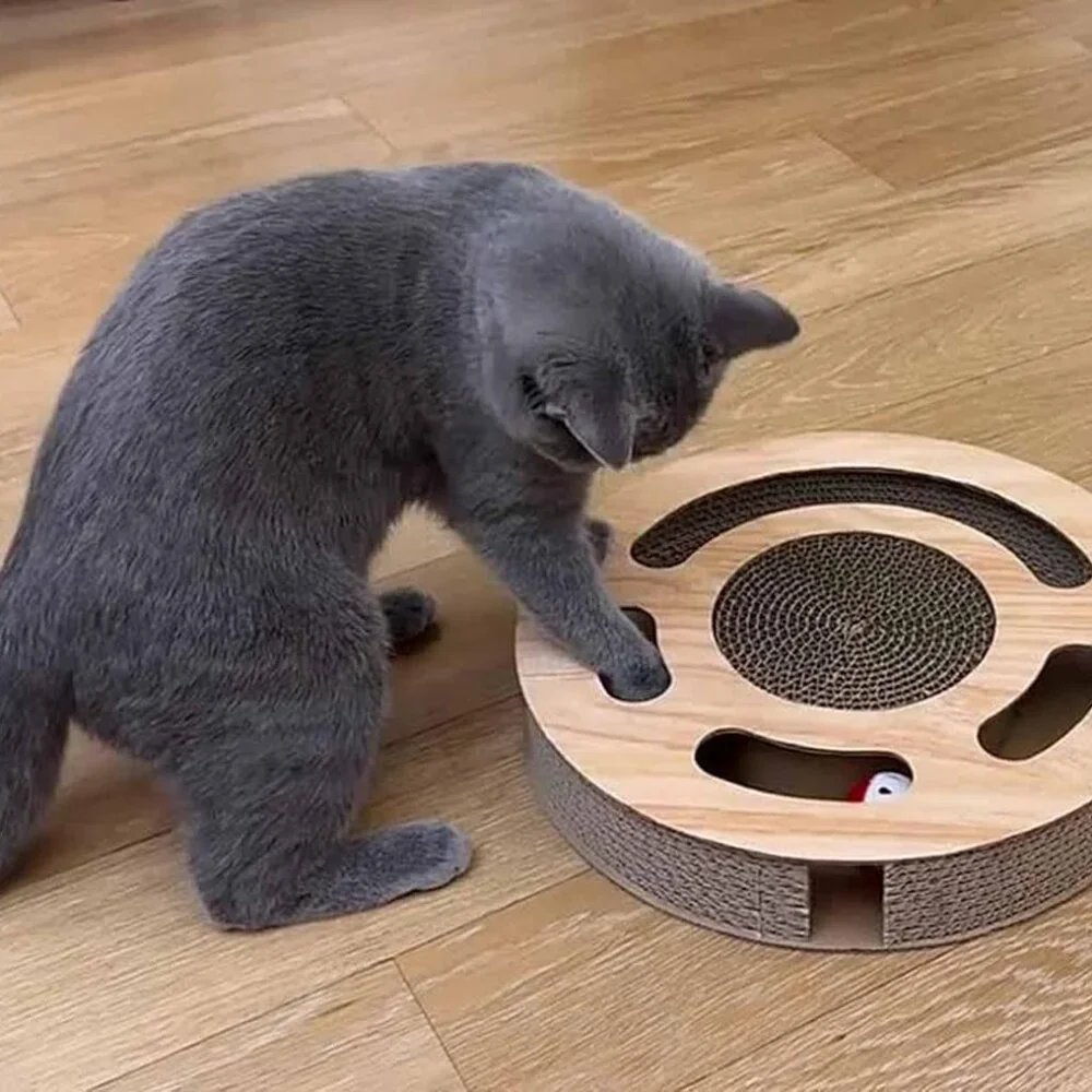 Cat Toy 3in 1 Kitten Puzzles Toys for Bored Indoor Cats (1 Set)